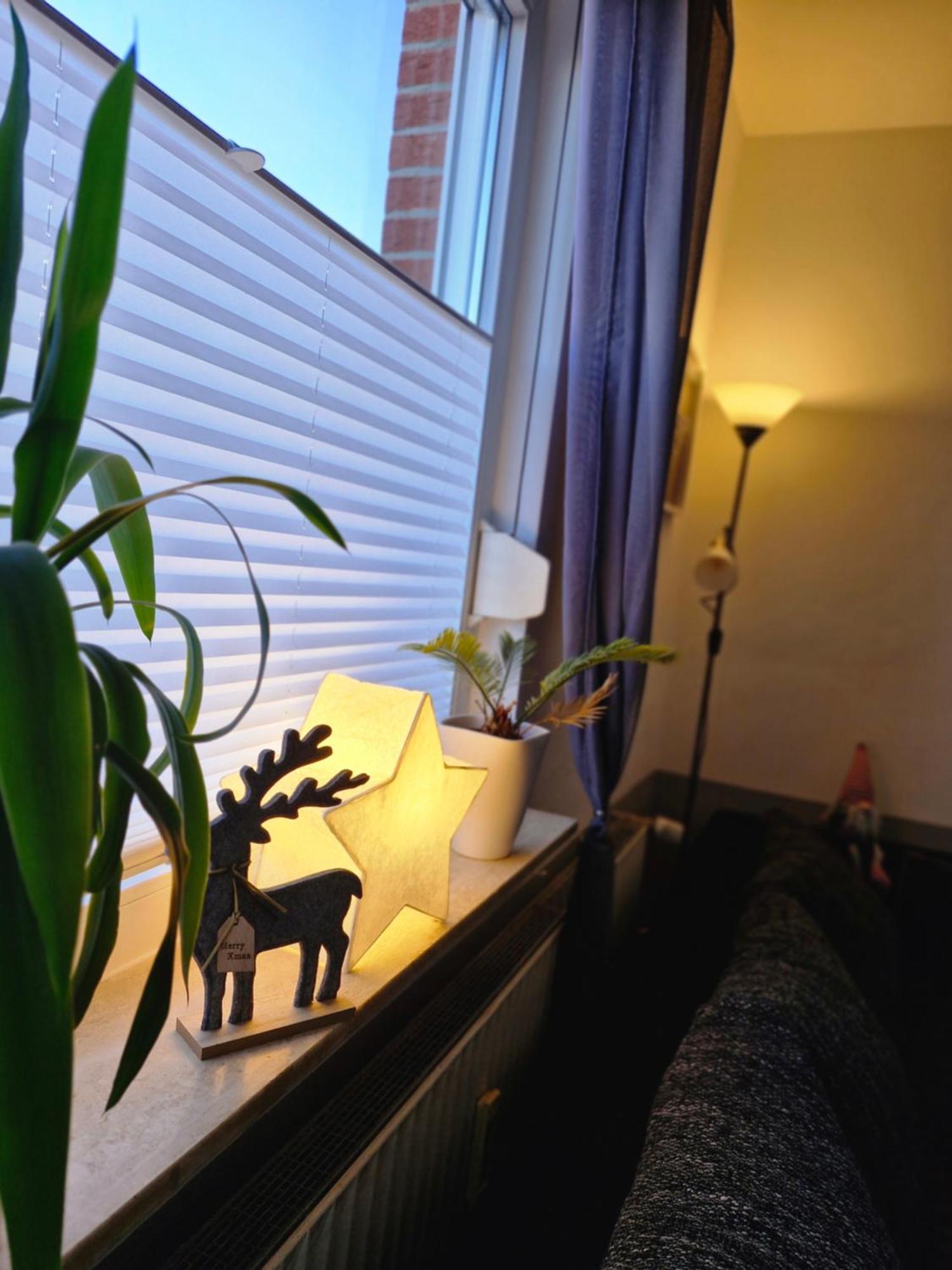 Apartment Mit Garten Bad Lauterberg Eksteriør bilde